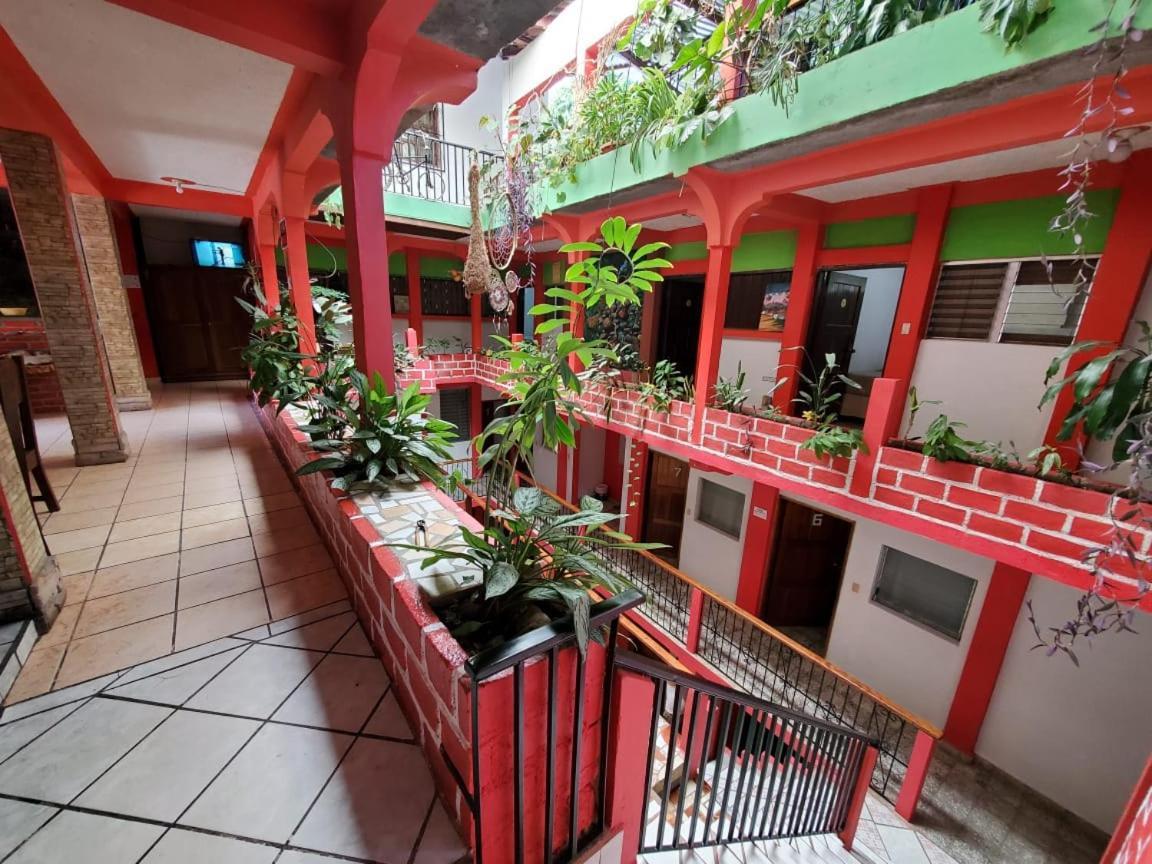 Hotel & Hostal Yaxkin Copán エクステリア 写真