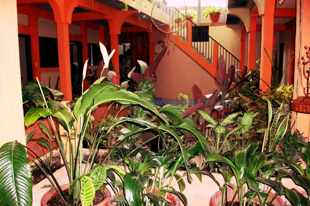 Hotel & Hostal Yaxkin Copán 部屋 写真