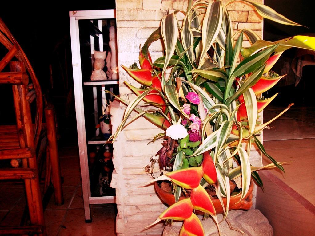 Hotel & Hostal Yaxkin Copán エクステリア 写真