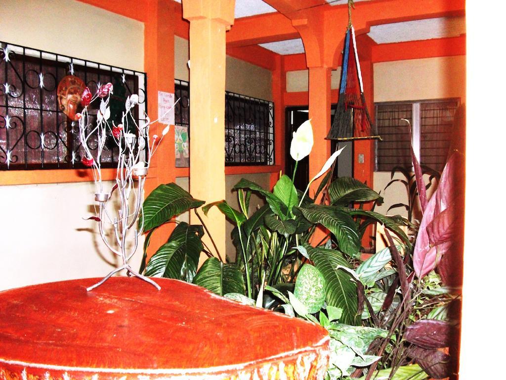 Hotel & Hostal Yaxkin Copán エクステリア 写真